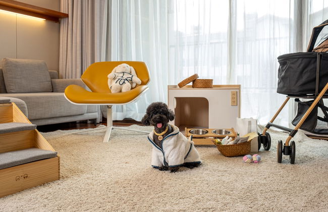 Somerset Jeju Shinhwa World - Foto 28