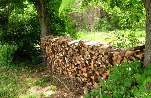 Pretty Cabin with Hot-tub in Herod, Illinois - Foto 9