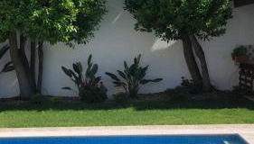 Villa Reis - Boutique House - Foto 5