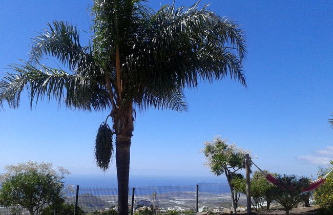 Finca Vista Bonita - Foto 37