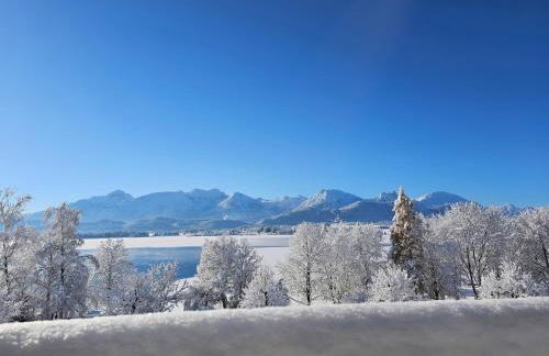 Landhaus Amberg Hopfen am See // Hopfensee // Füssen - Foto 35