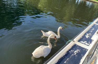 Serenity 2 and Serenity 1 Central lounge sleeps 6 3 bedrooms with 2 bathroom - Foto 37