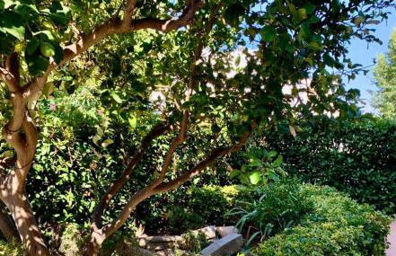 La Casetta di Marika - Foto 10