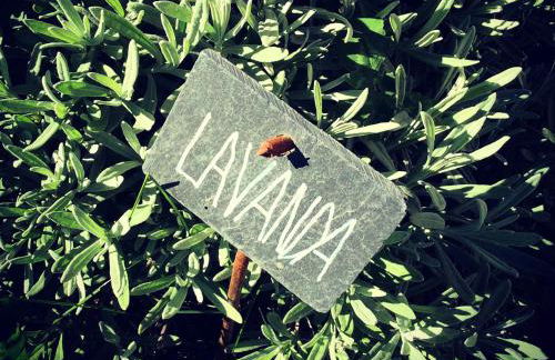 Fattoria Bio L'A Ceccoli - Foto 35