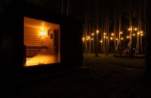 Jemioła Chaty Niedźwiady Małe - Foto 25