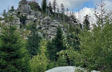 Große Ferienwohnung Hundertwasser am Dreisessel in Altreichenau - Foto 41