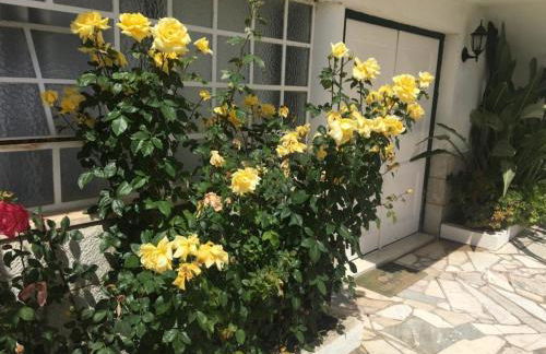 2 Bedroom Apartment House - Sol do Murtal - Photo 65