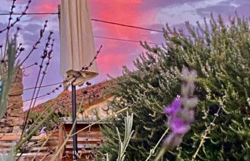 Lovrini Dvori - Photo 17