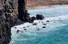 Estocolmo Lovely - Photo 38