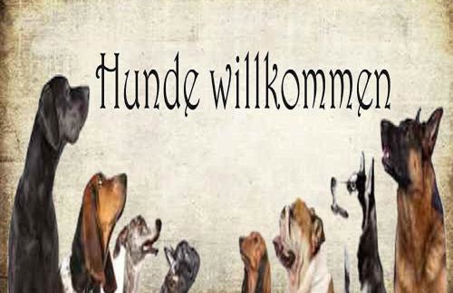 Allgäuvilla - Foto 26