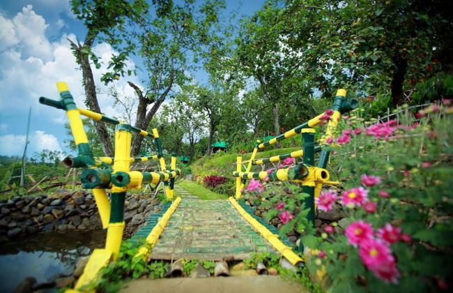 The Pear County - Foto 20