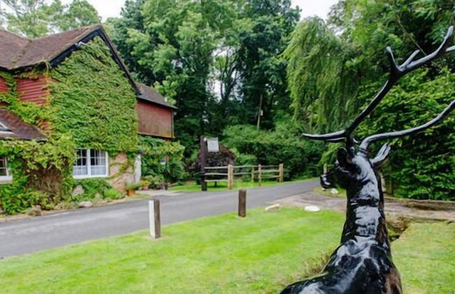 Trivelles Waterhall Country Hotel - Gatwick - Photo 1