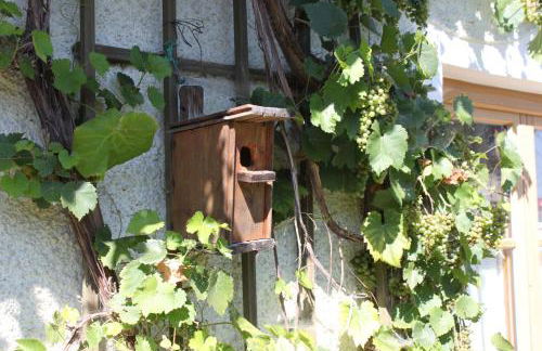 Ferienhaus Eller - Photo 11