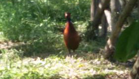 Casa Trastullo - Foto 3