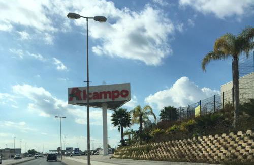 Jumilla III - Foto 48