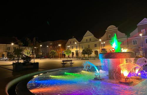 Apartamenty Stary Rynek 18 - Foto 24