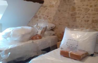 Gites au fil des châteaux de la Loire - Foto 31