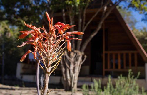 Chalé dos Campos - Foto 27