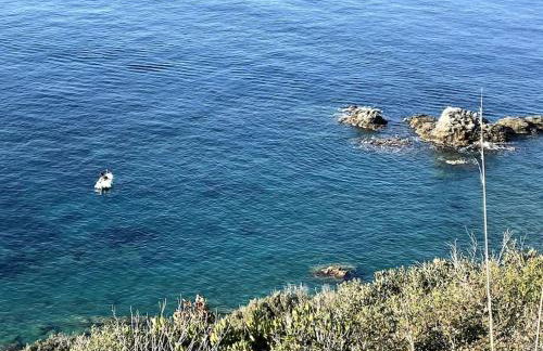 La Casina a Piombino, Appartamento moderno vicino al mare, pet friendly - Foto 22