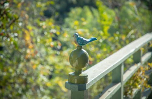 Nature Inspired Villa Designed for Wellness - Foto 110