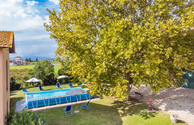 Scaletta + GIrasole - Foto 80