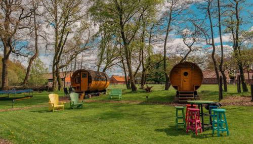 Fass Sonnenblume - Kuhle Auszeit - Foto 4