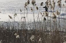 Le gîte Samezo - Foto 21