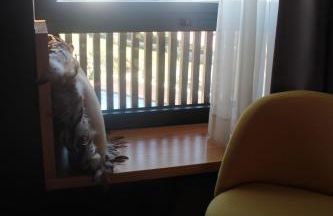 Casas da Li - Foto 57