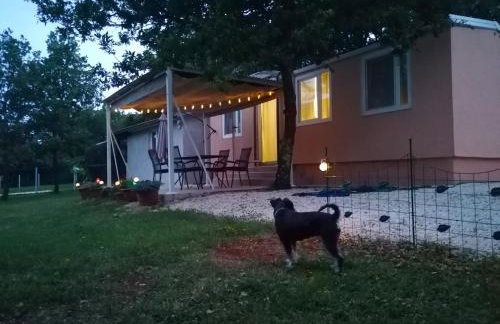 Tiny house Dora - Foto 12