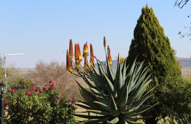 Imla Guest Farm - Foto 59