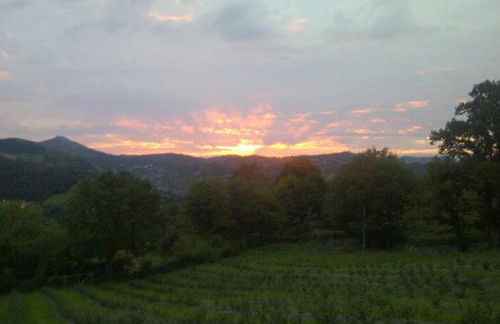 Apartamentos la Regoria - Foto 44