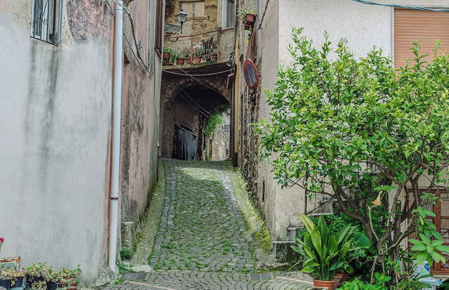 Mary's House - Foto 48