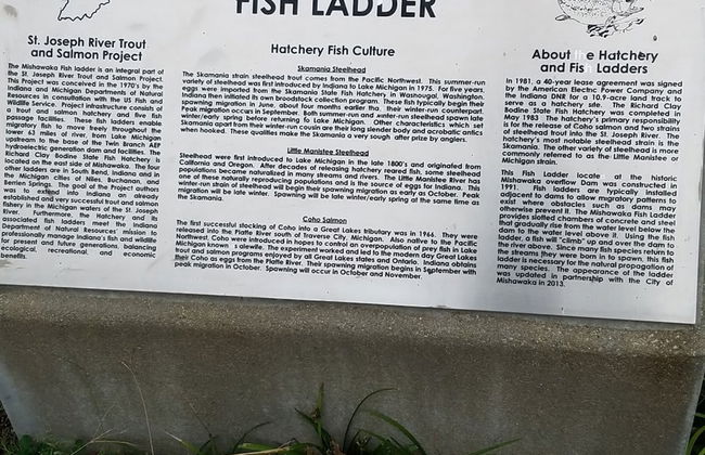 The Chicken Coop a Modern Riverfront Oasis 908 - Foto 18