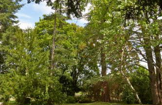 Manoir de Puyval - Foto 21