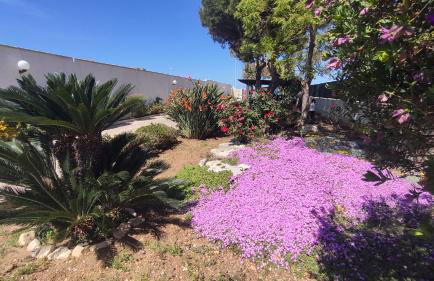 Seagull Apartments Bari Sea & Airport - Foto 29