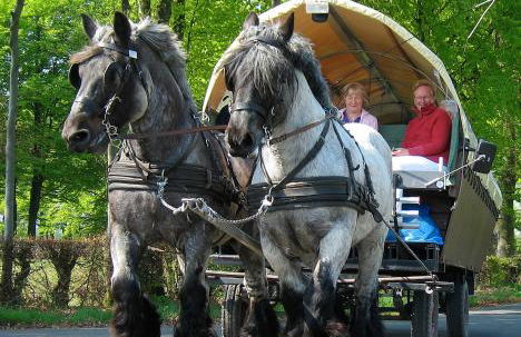 Ferienwohnungen Wiesengrund - Foto 8