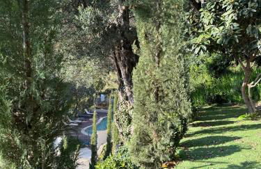 Top Location- Panoramic Villa with Montecarlo Views and Pool - Foto 8