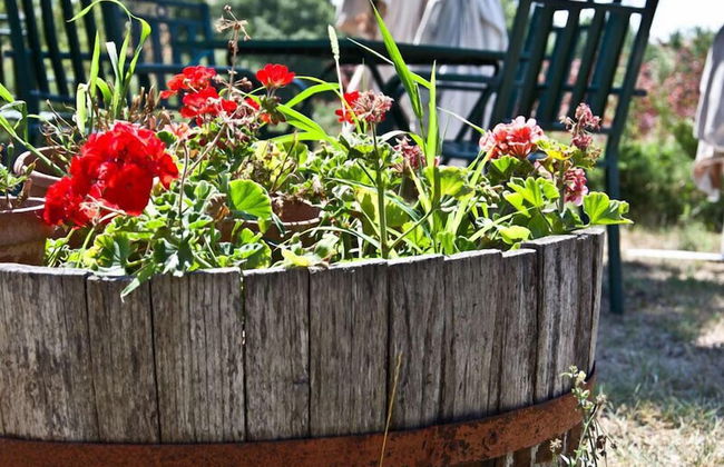 Agriturismo Terrasabina - Foto 49