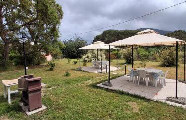 casa Gaia 2 - Photo 10