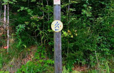 Gib mir funf! Ferienwohnung in St. Blasien - Foto 16