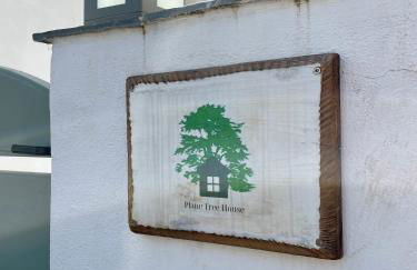 Plane Tree House - Foto 20