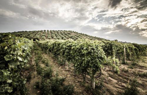 Agriturismo Il Giriatello - Foto 59