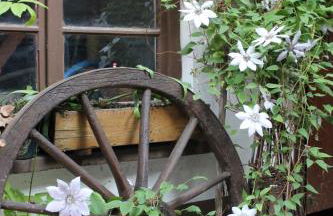 Feriengut zum Trinkstorch - Foto 20