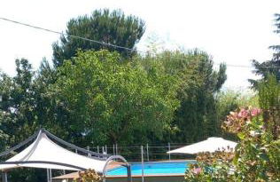 azienda agricola lo zolfino - Photo 28