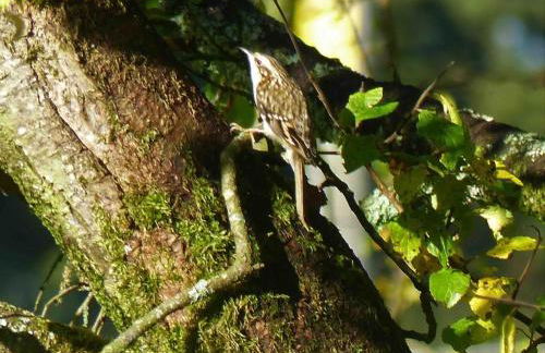Sunset View one bedroom luxury cottage in an idyllic setting - Foto 67