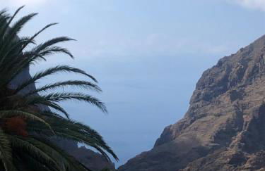 Casa Rural El Horno Masca - Foto 20