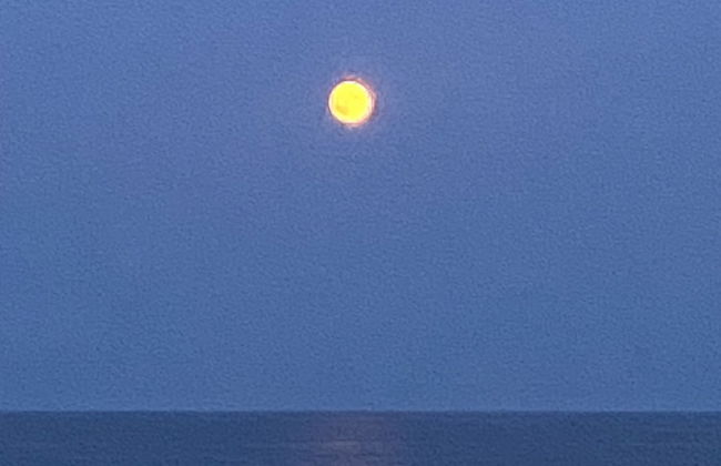 Sea Spray Condo - Foto 38