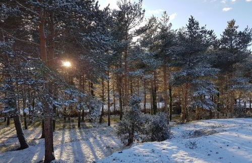 EVA & TRAVEL - El Bosquet de Prades - Foto 41