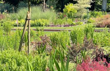 maison d'hôtes de l'orangerie 14 personnes - Foto 43
