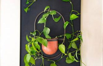 Entire rowhouse in Capitol Hill with free parking - Foto 37